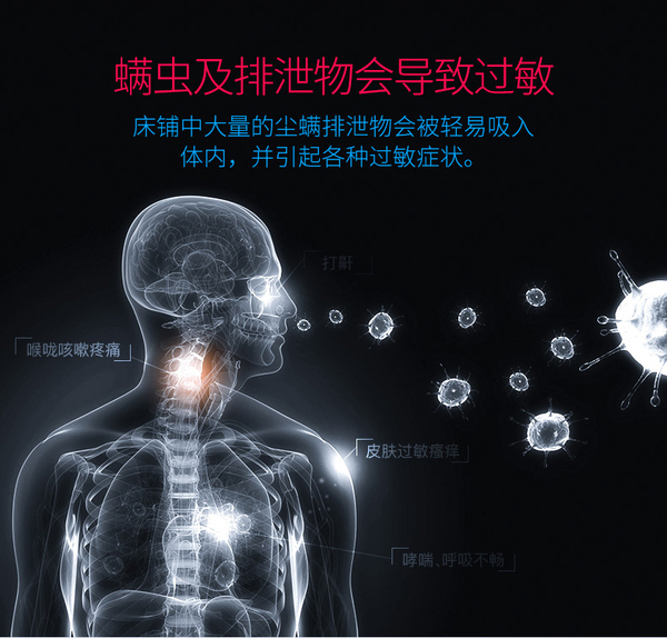 常德欢洗生活服务,床垫除螨服务 常德欢洗生活服务,床垫除螨服务