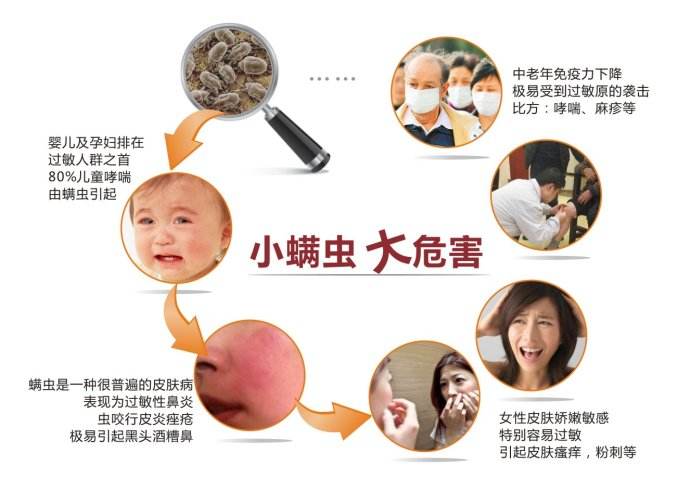 常德床垫除螨清洗服务 常德床垫除螨清洗服务