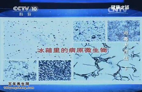 常德冰箱清洗就找欢洗 常德冰箱清洗就找欢洗